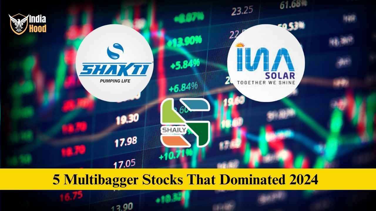 5 multibagger stocks that dominated 2024