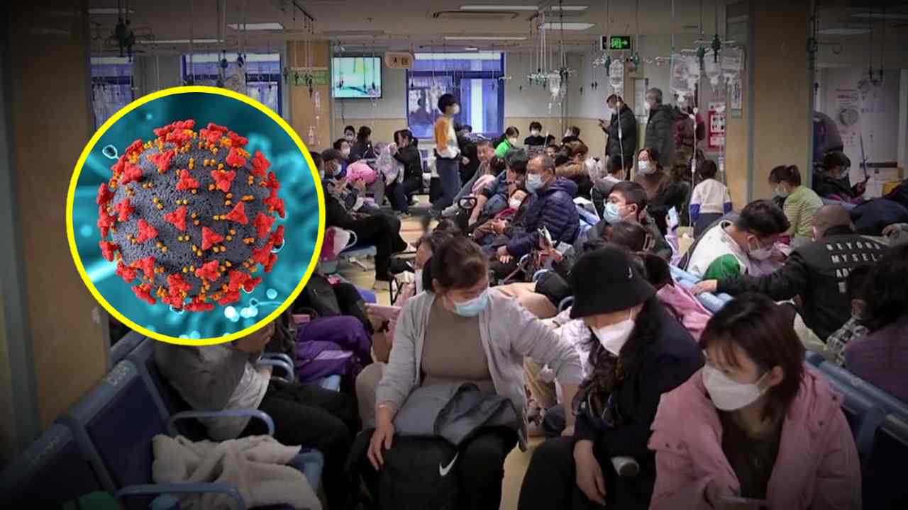 human metapneumovirus china