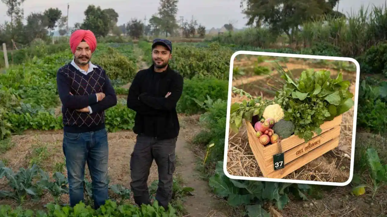 techie quits high paying google job to help urban families grow food