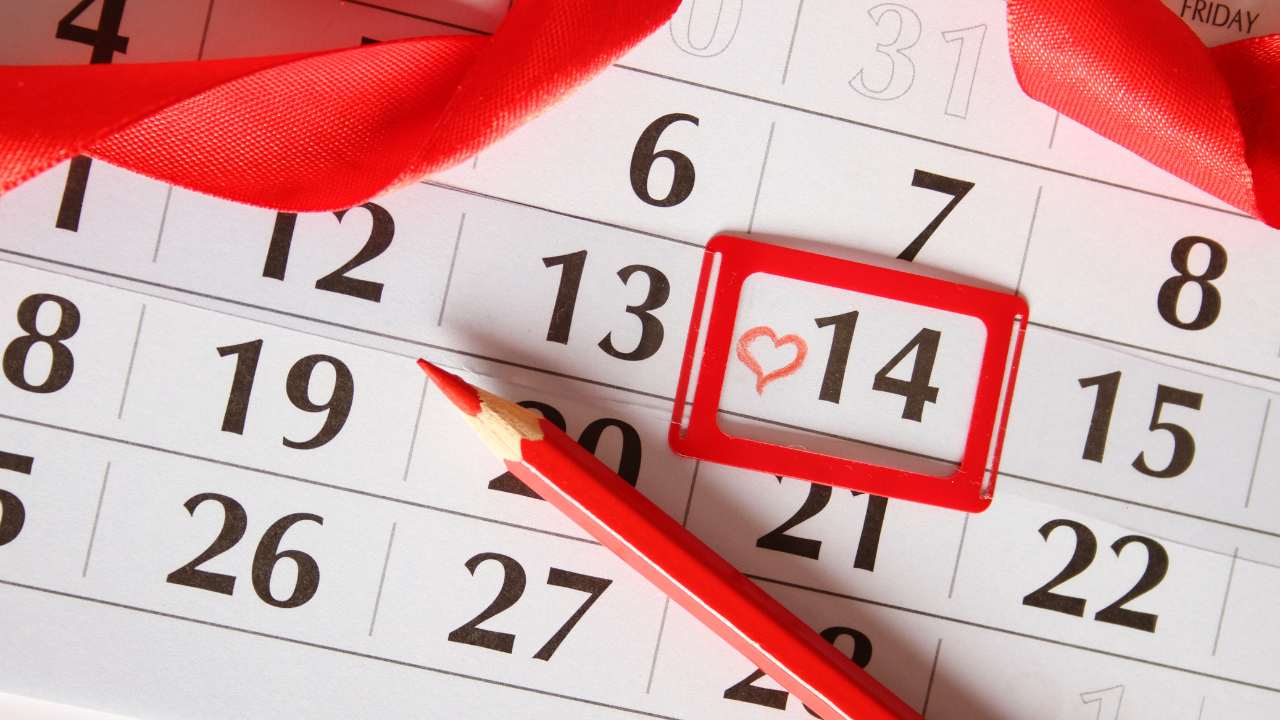 february special days valentine week calender with their meaning