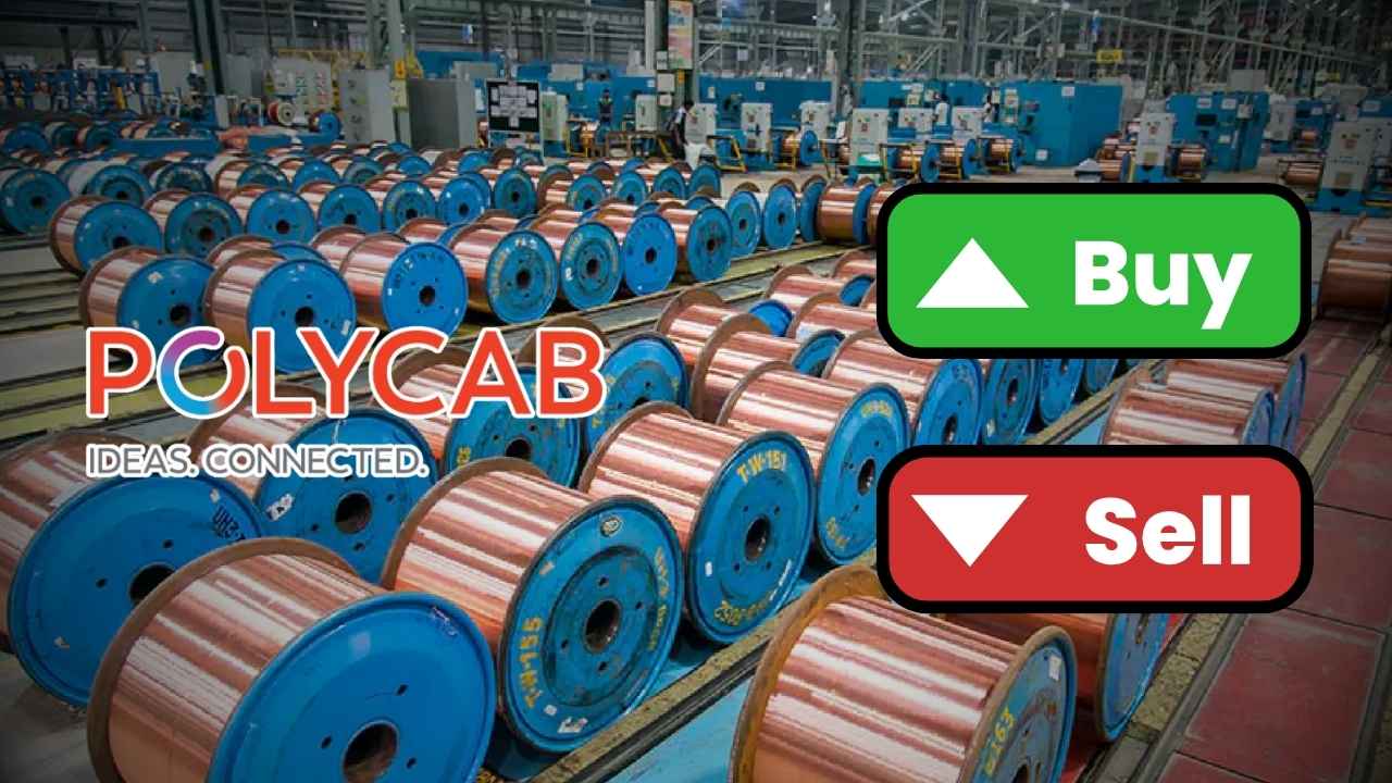 polycab share price