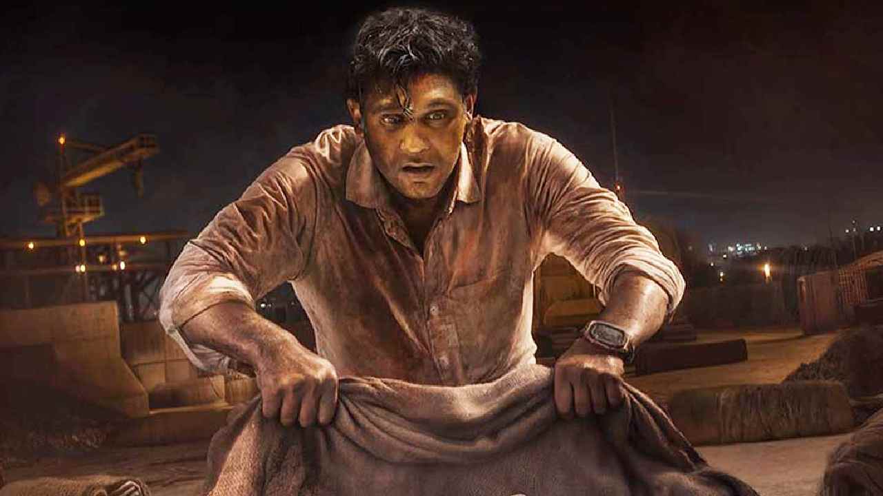 crazxy box office colelction