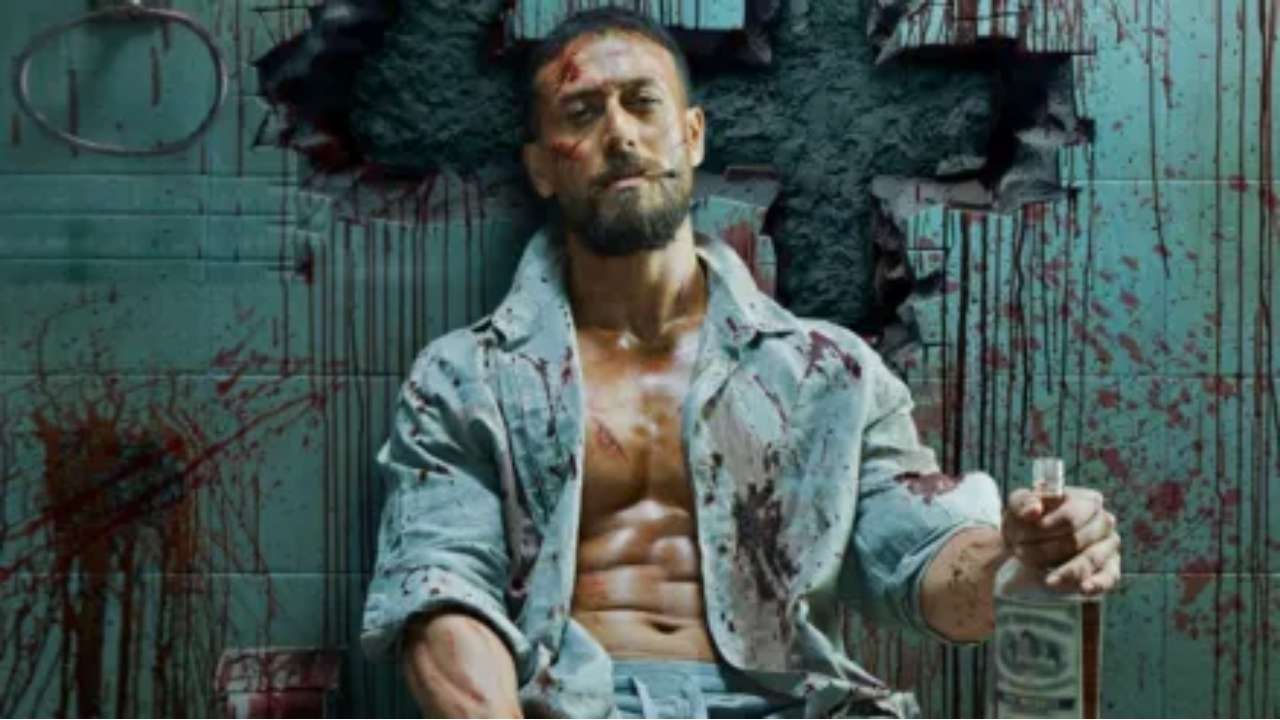 baaghi 4 box office collection