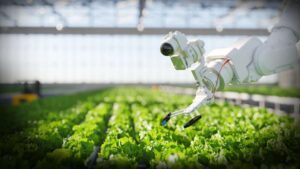 India’s Agritech Sector Shifts Focus to Profitability as Funding Returns