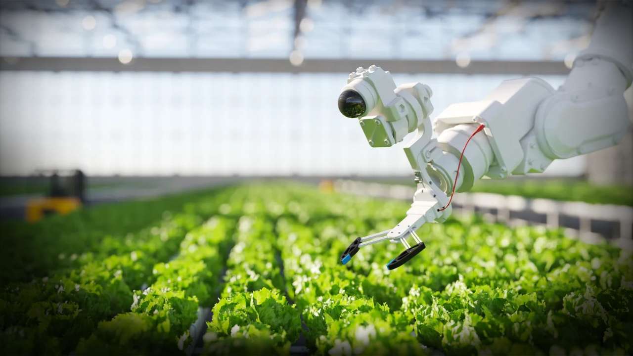 India’s Agritech Sector Shifts Focus to Profitability as Funding Returns